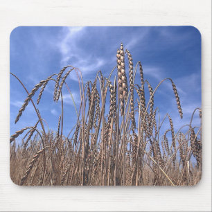 Alfombrilla De Ratón bl