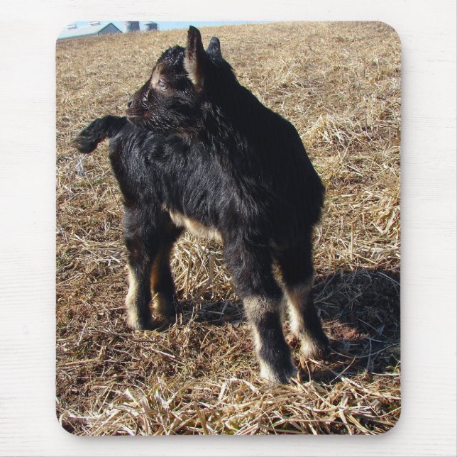 Alfombrilla De Ratón Black and Tan Kid (Frente)