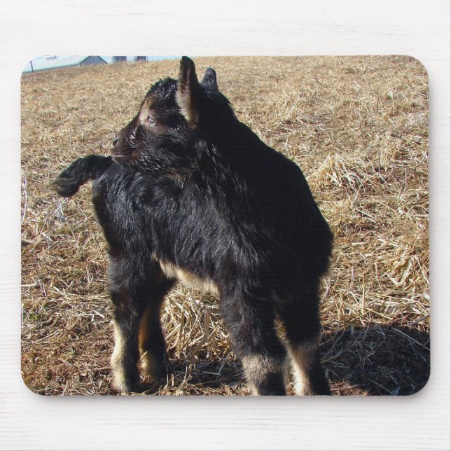 Alfombrilla De Ratón Black and Tan Kid (Frente)