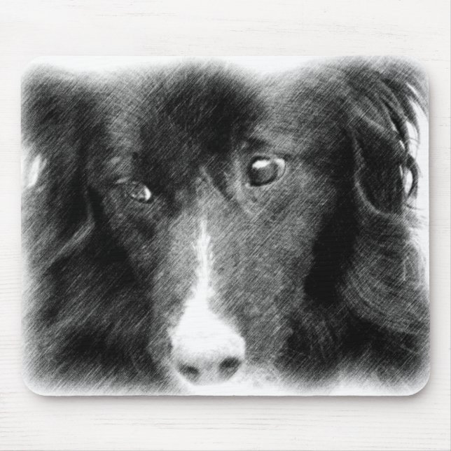 Alfombrilla De Ratón Black Border Collie Animal Art (Frente)