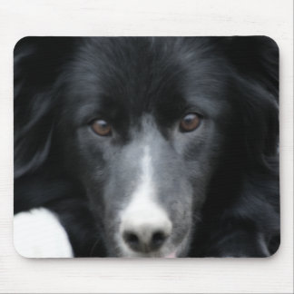 Alfombrilla De Ratón Black Border Collie Face Dog