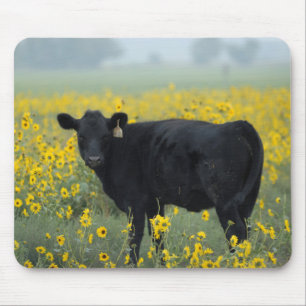Alfombrilla De Ratón Black Calf in a Field of Sunflowers