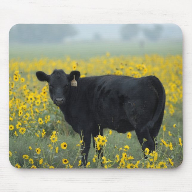 Alfombrilla De Ratón Black Calf in a Field of Sunflowers (Frente)