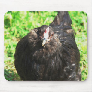 Alfombrilla De Ratón Blackie