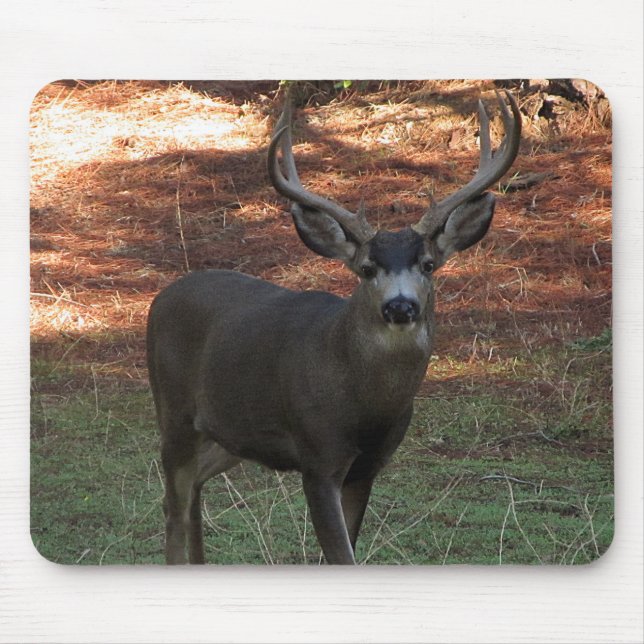 Alfombrilla De Ratón Blacktail Buck Mousepad (Frente)