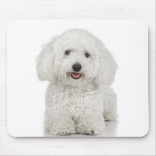 Alfombrilla De Ratón Blanco de perro maltés