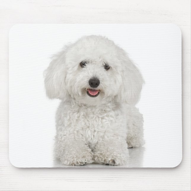 Alfombrilla De Ratón Blanco de perro maltés (Frente)