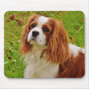 Alfombrilla De Ratón Blenheim Cavalier King Charles Spaniel Perro Cacho