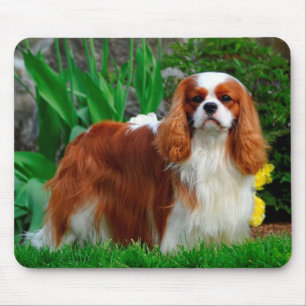 Alfombrilla De Ratón Blenheim Cavalier King Charles Spaniel Perro de Ca