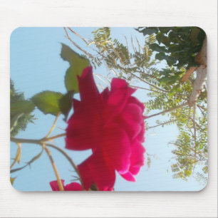 Alfombrilla De Ratón Bloom celestial: Un Rosa contra el cielo