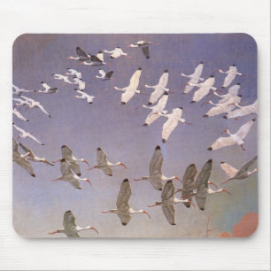 Alfombrilla De Ratón Bloque de Ibis volando sobre humedales, aves vitíc