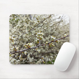Alfombrilla De Ratón Blossom de primavera floral blanco elegante person
