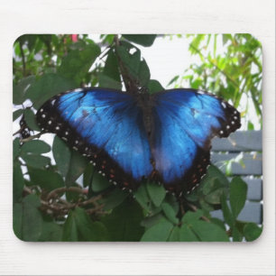 ALFOMBRILLA DE RATÓN BLUE BUTTERLY