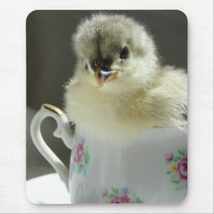 Alfombrilla De Ratón Blue Cochin Chick