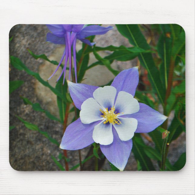 Alfombrilla De Ratón Blue columbine (Frente)