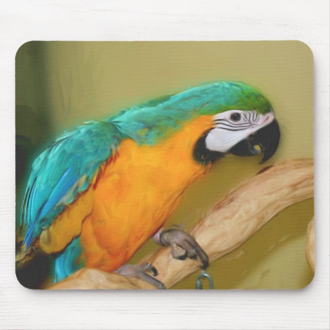 Alfombrilla De Ratón Blue Gold Macaw Parrot Pintura de Arte Animal (Frente)