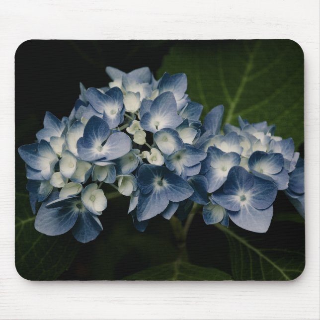 Alfombrilla De Ratón Blue Hydrangea 8514 Mousepad (Frente)