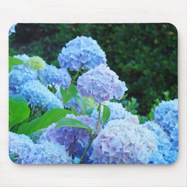 Alfombrilla De Ratón Blue Hydrangea Gardens mousepad Flores florales (Frente)