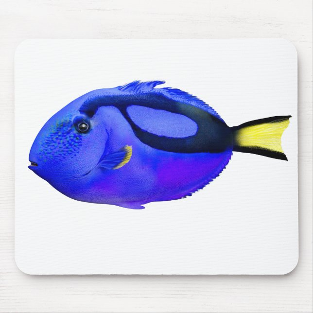 Alfombrilla De Ratón Blue Tang Saltwater Fish (Frente)