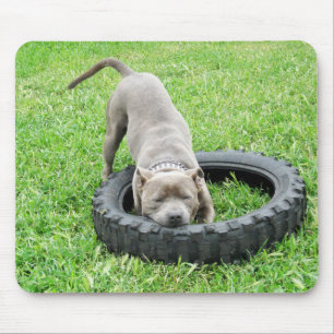 Alfombrilla De Ratón Blue Young Staffordshire Bull Terrier,