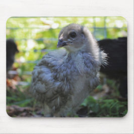 Alfombrilla De Ratón Bluebell