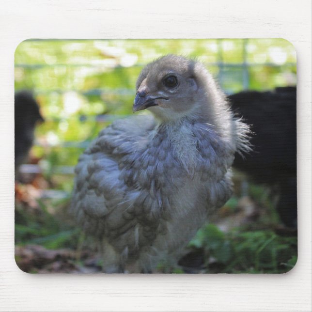 Alfombrilla De Ratón Bluebell (Frente)