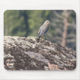 Alfombrilla De Ratón Bluebird de la montaña en el granito