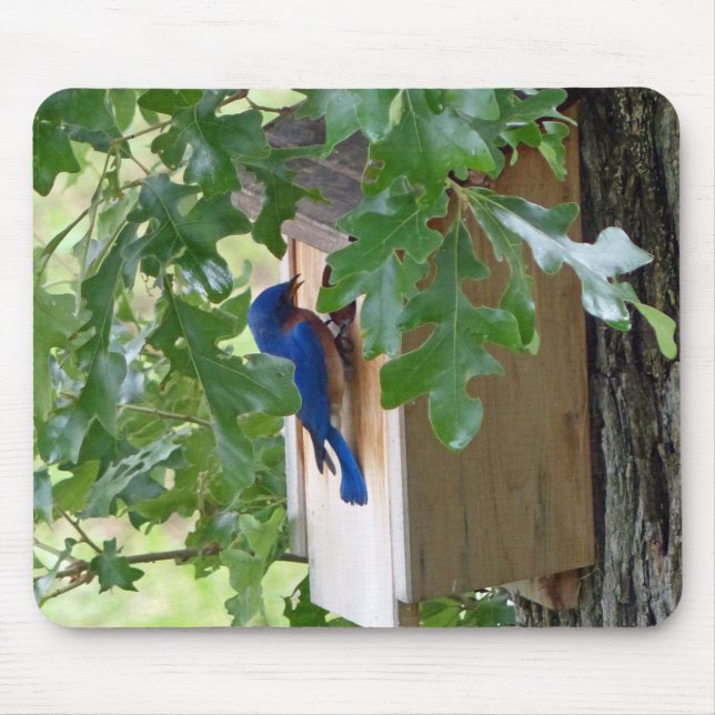 Alfombrilla De Ratón Bluebird en casa (Frente)