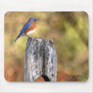 Alfombrilla De Ratón Bluebird Mousepad