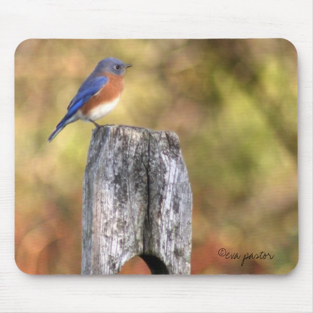 Alfombrilla De Ratón Bluebird Mousepad (Frente)