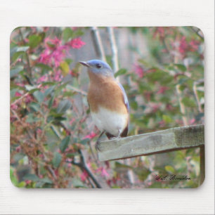 Alfombrilla De Ratón Bluebird Mousepad de la primavera
