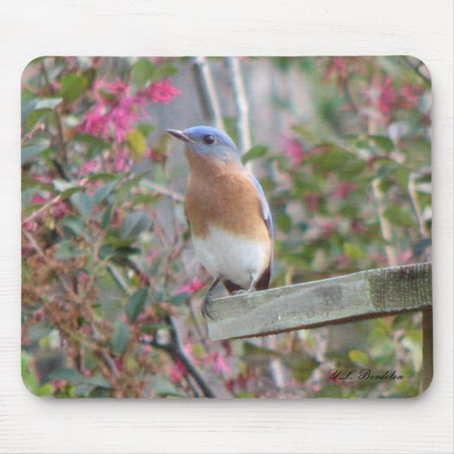 Alfombrilla De Ratón Bluebird Mousepad de la primavera (Frente)