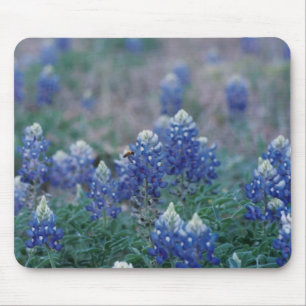 Alfombrilla De Ratón Bluebonnets