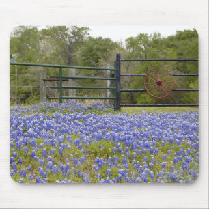 Alfombrilla De Ratón Bluebonnets de Tejas