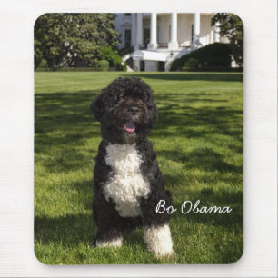 Alfombrilla De Ratón Bo Obama