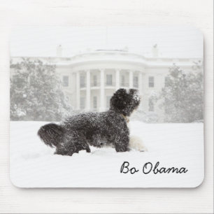 Alfombrilla De Ratón Bo Obama