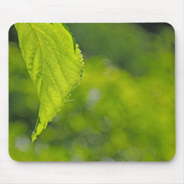 Alfombrilla De Ratón Bokeh de hoja de árbol (Frente)