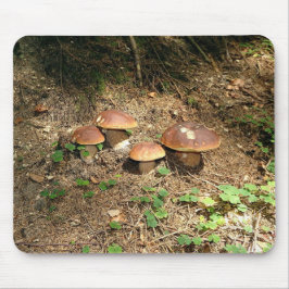 Alfombrilla De Ratón boletus