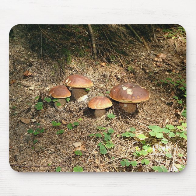 Alfombrilla De Ratón boletus (Frente)
