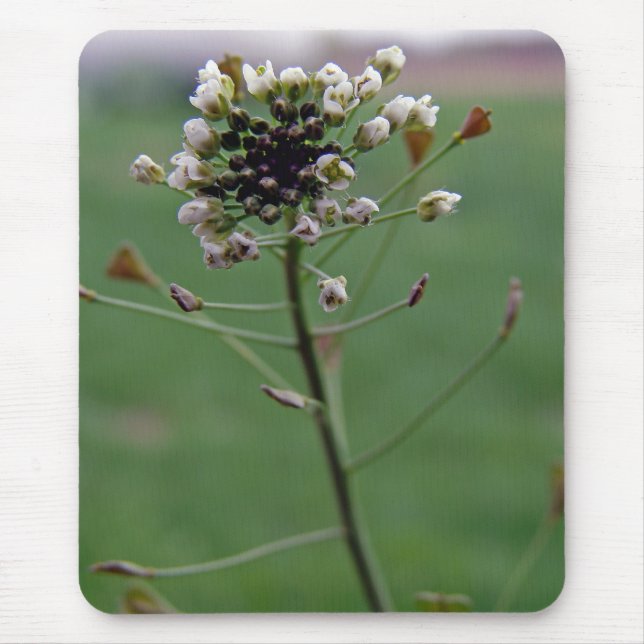 Alfombrilla De Ratón Bolsa de Shepherd (Frente)