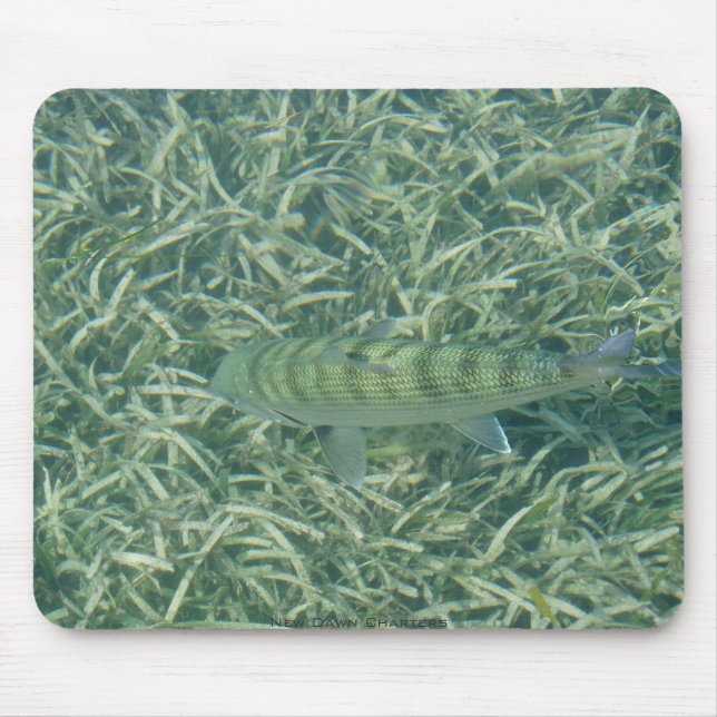 Alfombrilla De Ratón Bonefish del tizón (Frente)