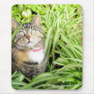 Alfombrilla De Ratón Bonito Calico Cat Mousepad