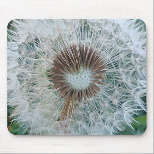 Alfombrilla De Ratón Bonito Dandelion blanco
