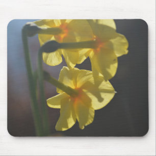 Alfombrilla De Ratón Bonito de color amarillo flor daffodil