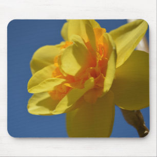 Alfombrilla De Ratón Bonito de color amarillo flor mousepad.