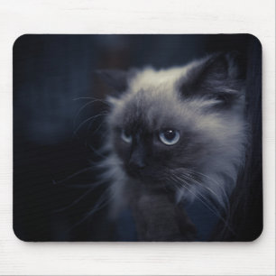 Alfombrilla De Ratón Bonito gato