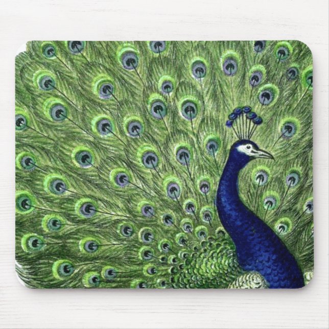 Alfombrilla De Ratón Bonito Peacock (Frente)