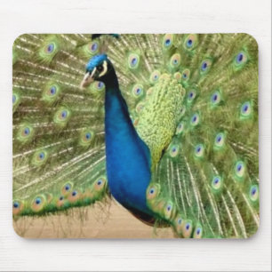 Alfombrilla De Ratón Bonito Peacock