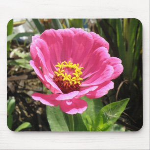 Alfombrilla De Ratón Bonito Rosa Zinnia Mousepad