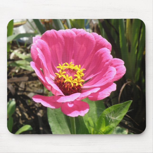 Alfombrilla De Ratón Bonito Rosa Zinnia Mousepad (Frente)